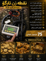 نقطه زن vlf تارگو